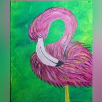 fancy flamingo - 1