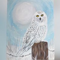 Untitled design - 1